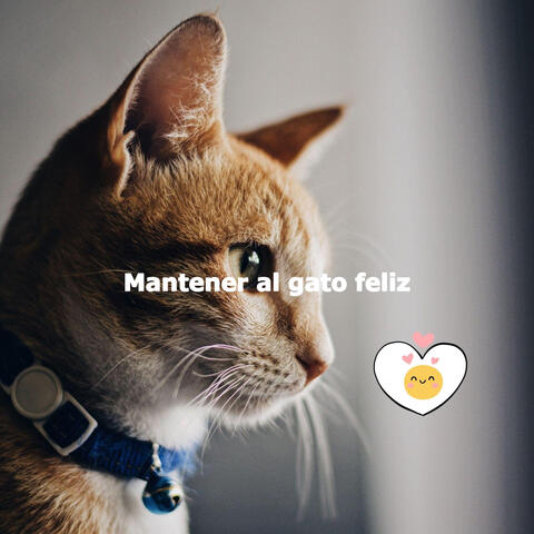 Mantener al gato feliz