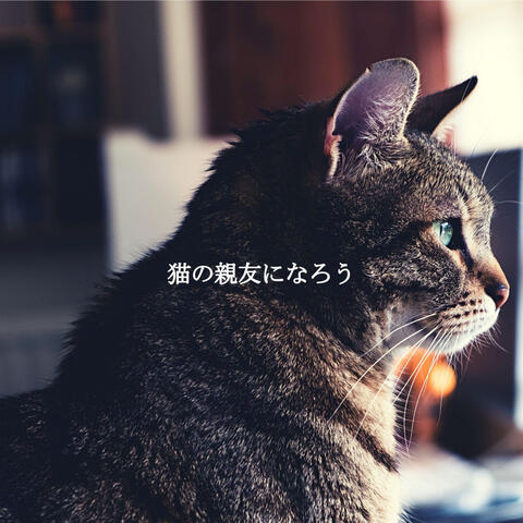 猫の親友になろう