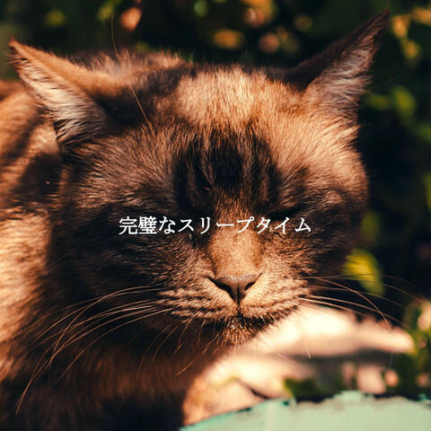 完璧なスリープタイム
