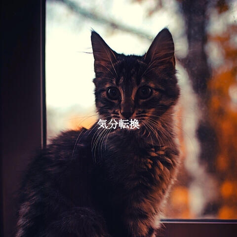 気分転換
