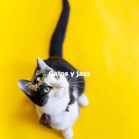Gatos y jazz