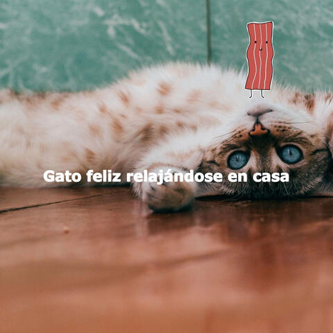 Gato feliz relajándose en casa
