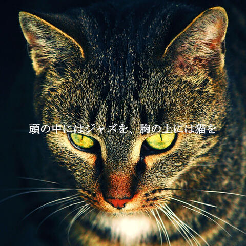 頭の中にはジャズを、胸の上には猫を