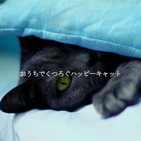 おうちでくつろぐハッピーキャット