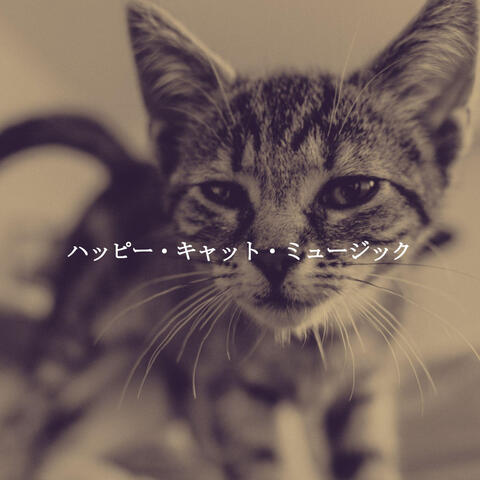 ハッピー・キャット・ミュージック