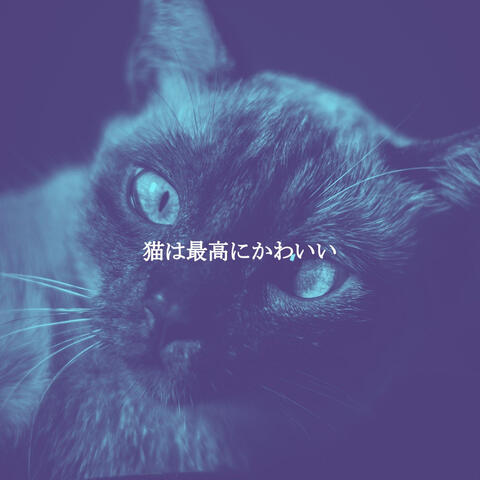 猫は最高にかわいい