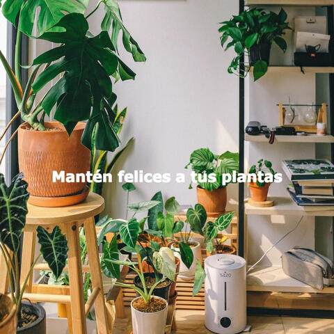 Mantén felices a tus plantas