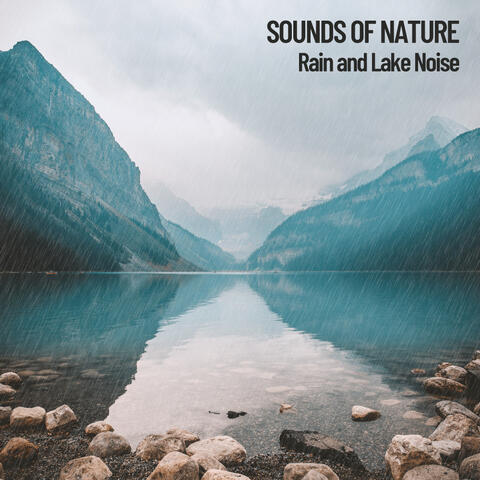 Nature Sounds: Rainy Day by the Lake