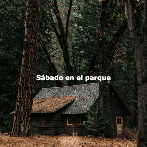 Sábado en el parque