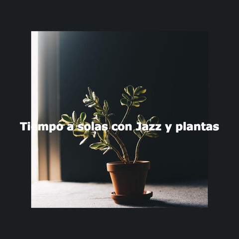 Tiempo a solas con Jazz y plantas