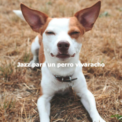 Jazz para un perro vivaracho