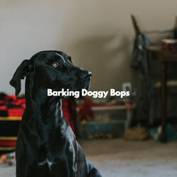 Quiet Backdrops for Stylish Dogs