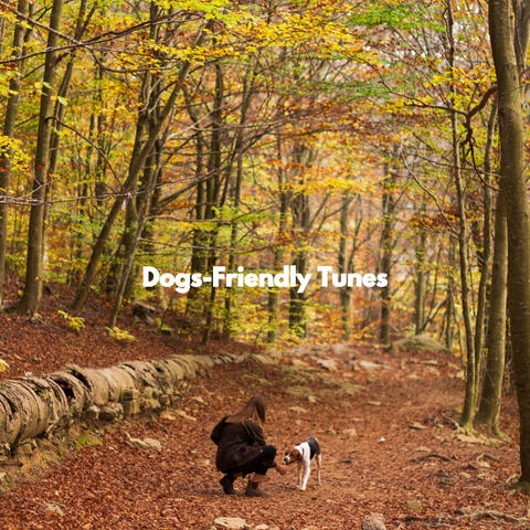 Dogs-Friendly Tunes