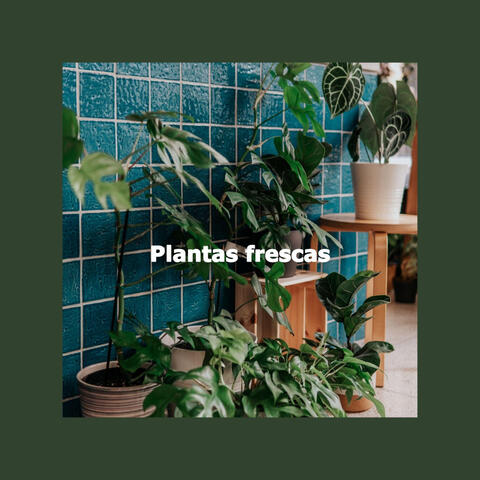 Plantas frescas