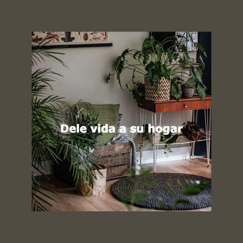 Dele vida a su hogar