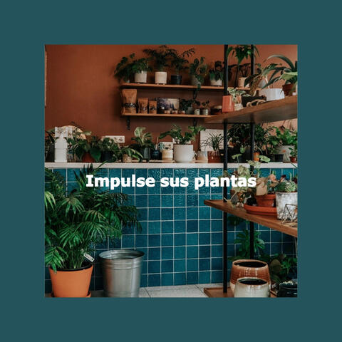 Impulse sus plantas
