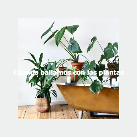 Cuando bailamos con las plantas