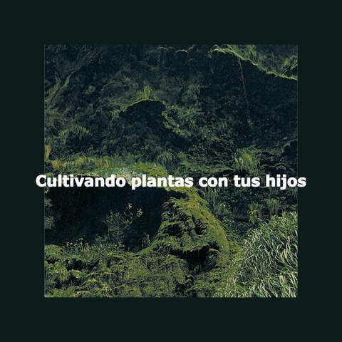 Cultivando plantas con tus hijos