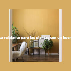 Luxurious Moods for Sunday Lie Ins