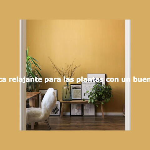 Música relajante para las plantas con un buen café