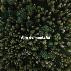 Fashionable Coffee or Tea