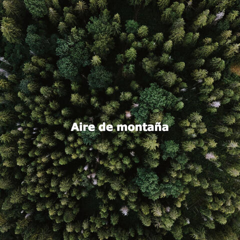 Aire de montaña