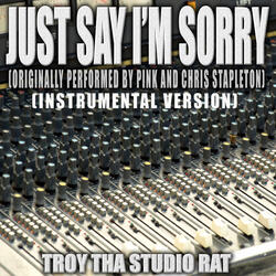 Just Say I'm Sorry (Originally Performed by Pink and Chris Stapleton)