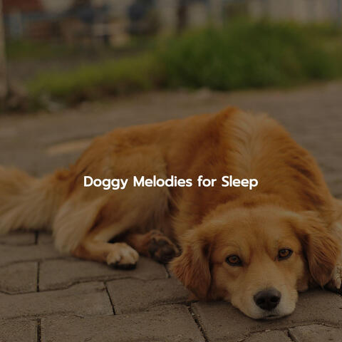Doggy Melodies for Sleep