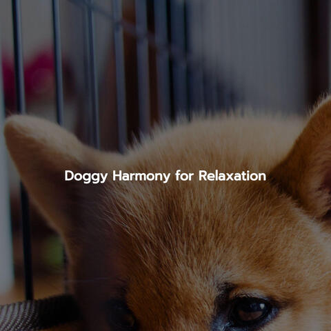 Doggy Harmony for Relaxation