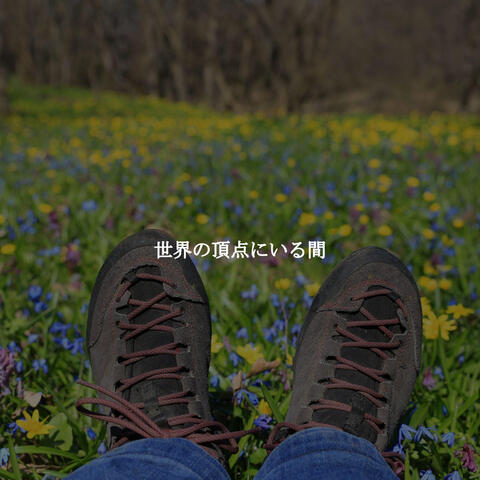 世界の頂点にいる間