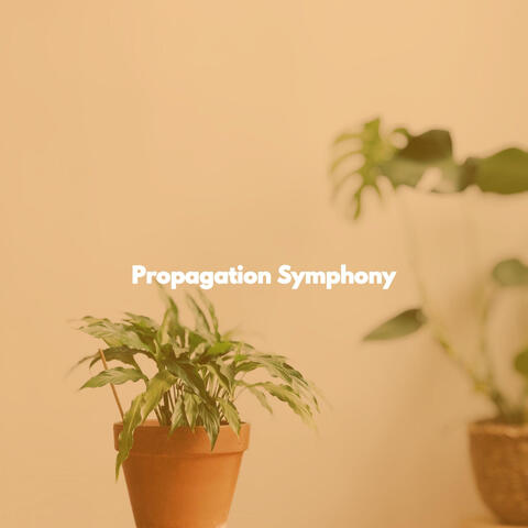 Propagation Symphony