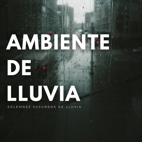 Ambiente De Lluvia: Solemnes Susurros De Lluvia