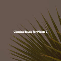 Sultry Music for Chilled Lunch