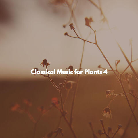 Classical Music for Plants 4