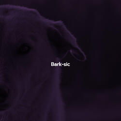 Cheerful Vibe Shifts