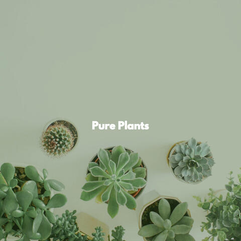 Pure Plants