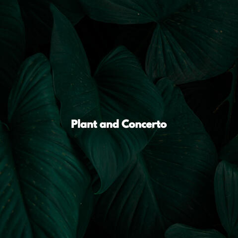 Plant and Concerto
