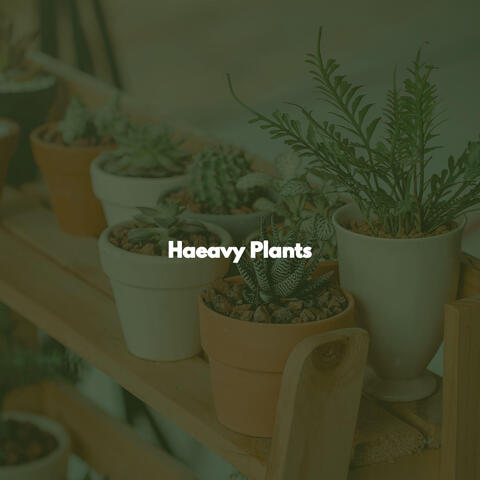 Haeavy Plants