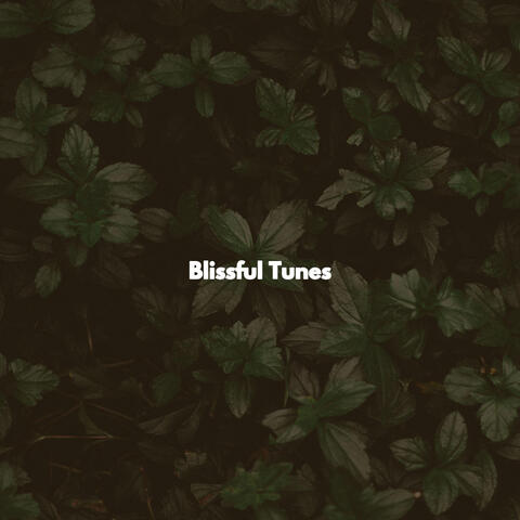 Blissful Tunes