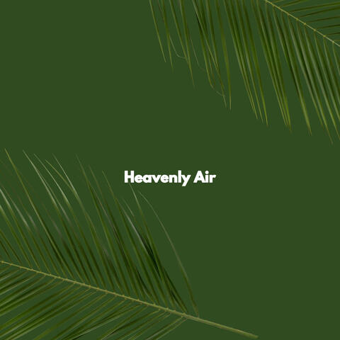 Heavenly Air