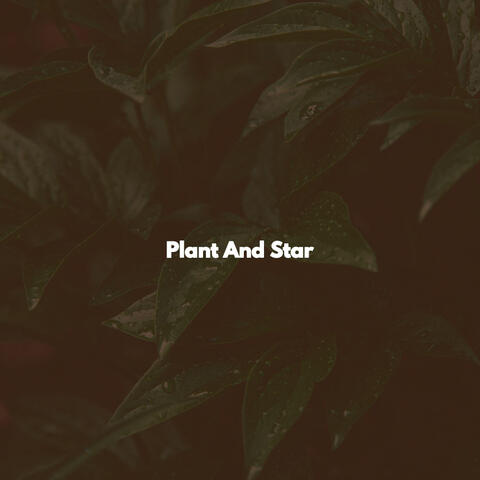 Plant And Star