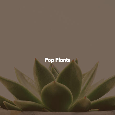 Pop Plants