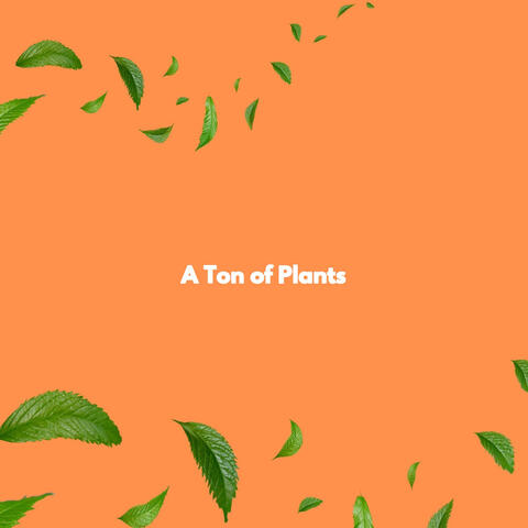 A Ton of Plants