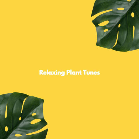 Relaxing Plant Tunes
