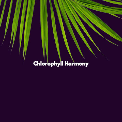 Chlorophyll Harmony
