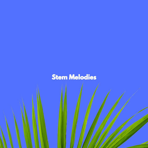 Stem Melodies