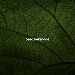 Smooth Ambience for Fresh Pastries with Coffee