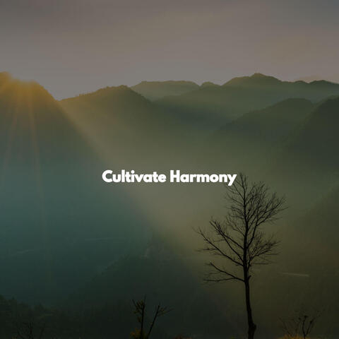Cultivate Harmony