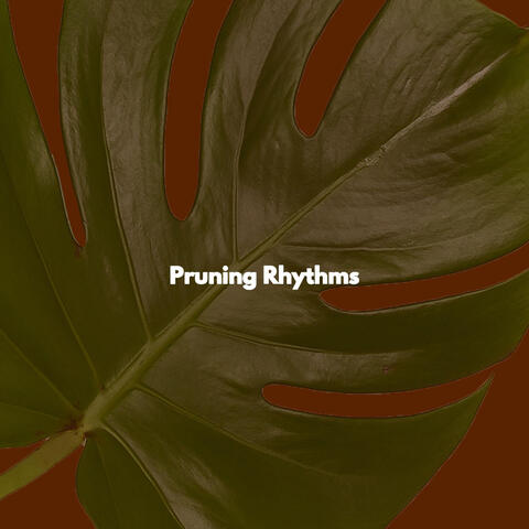 Pruning Rhythms