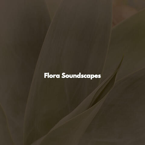 Flora Soundscapes